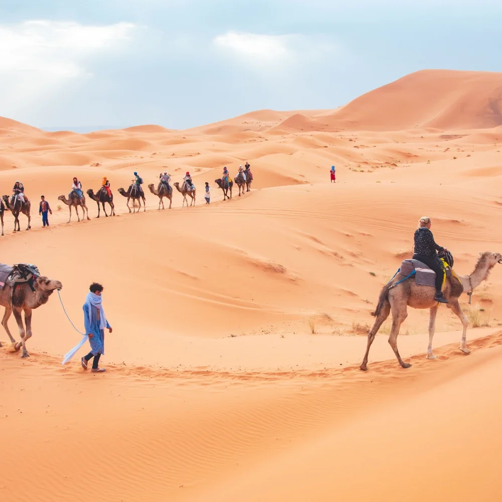 Shared Desert Camel Trekking Travelers Group