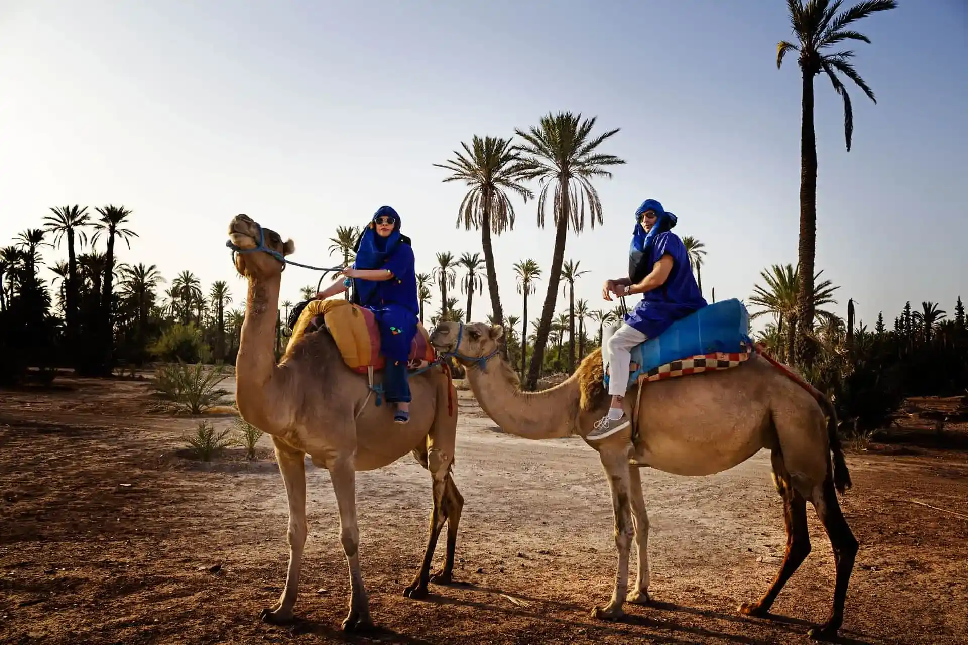 Camel Ride in Marrakesh Palmeraie Sunset Desert Experience