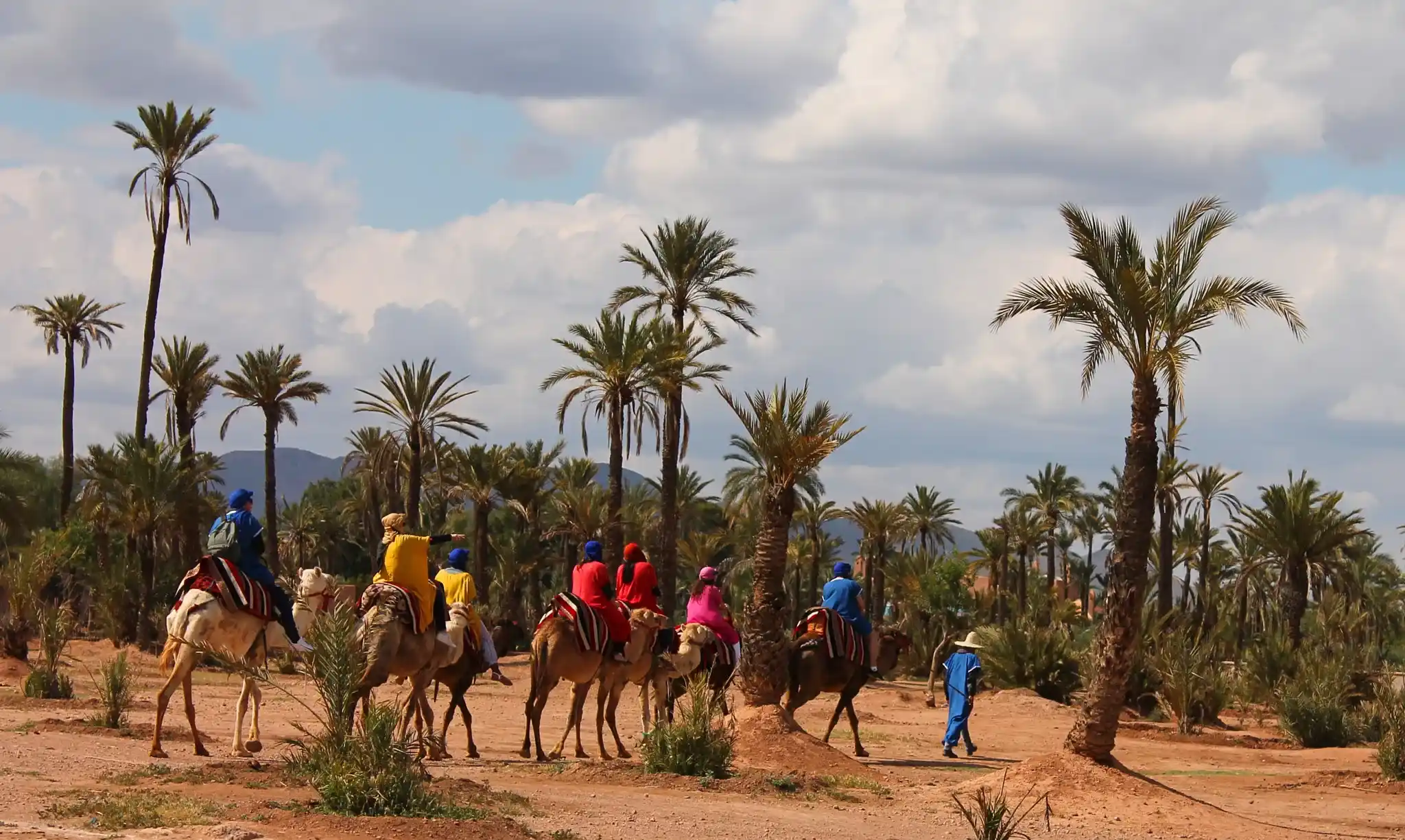 camel-ride-4