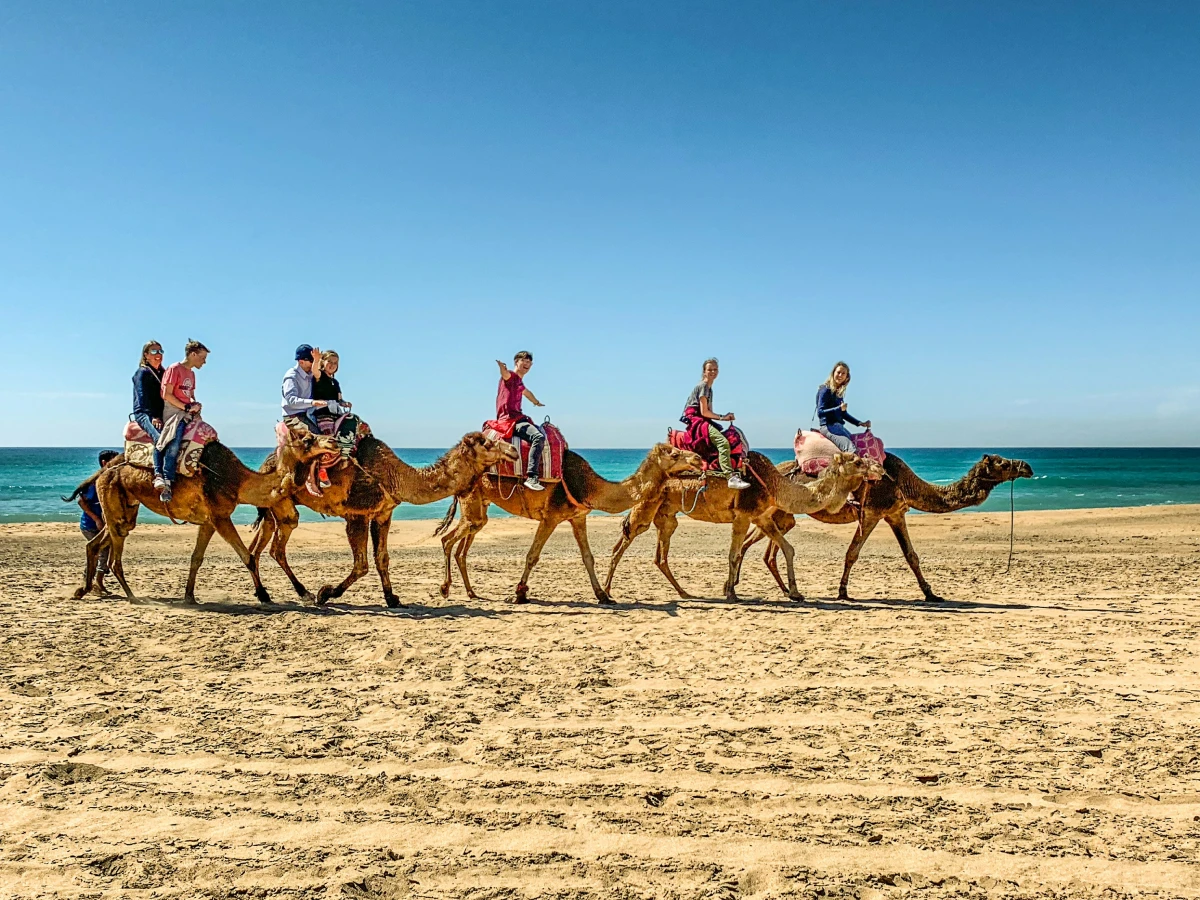 Camel Trekking Travelers Group