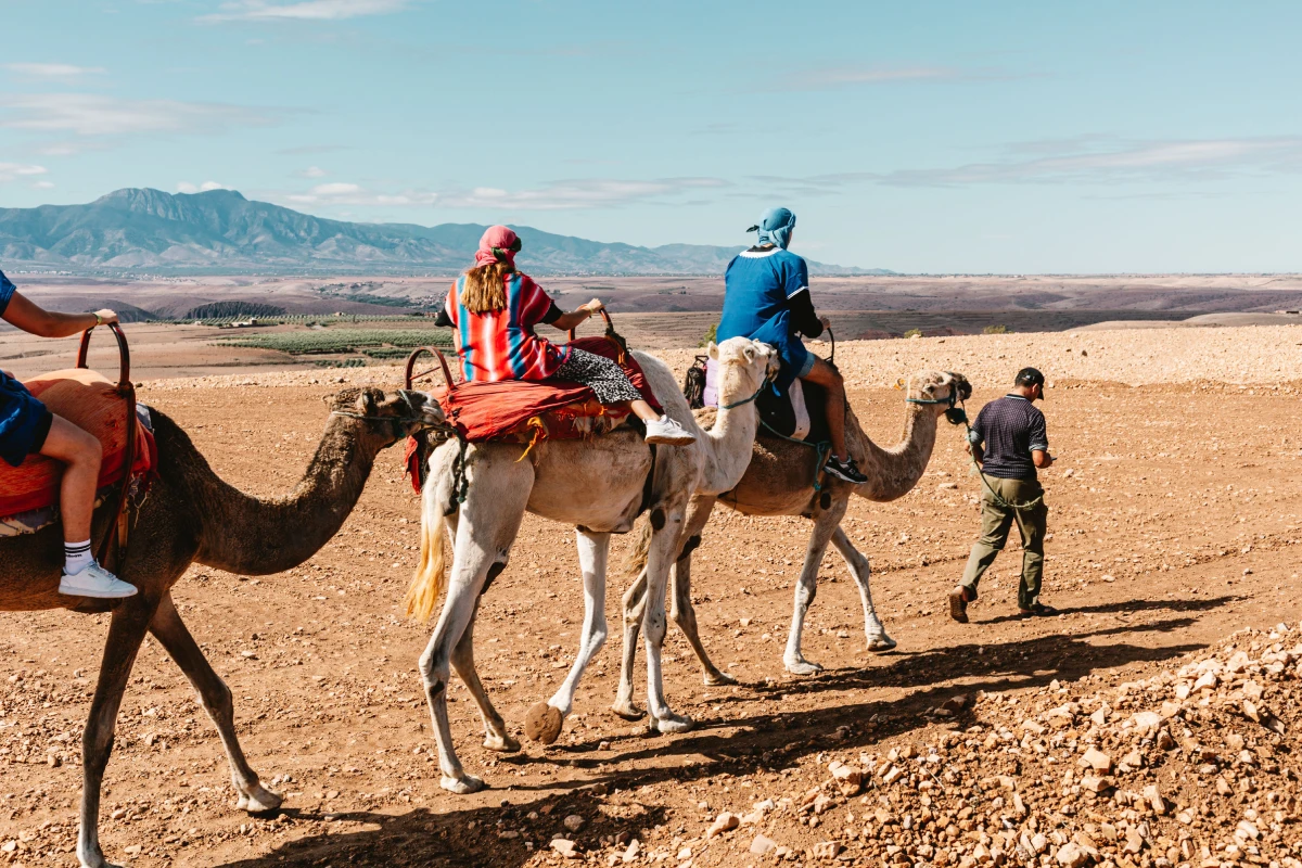 VoyageMorocco Camel Trekking activity