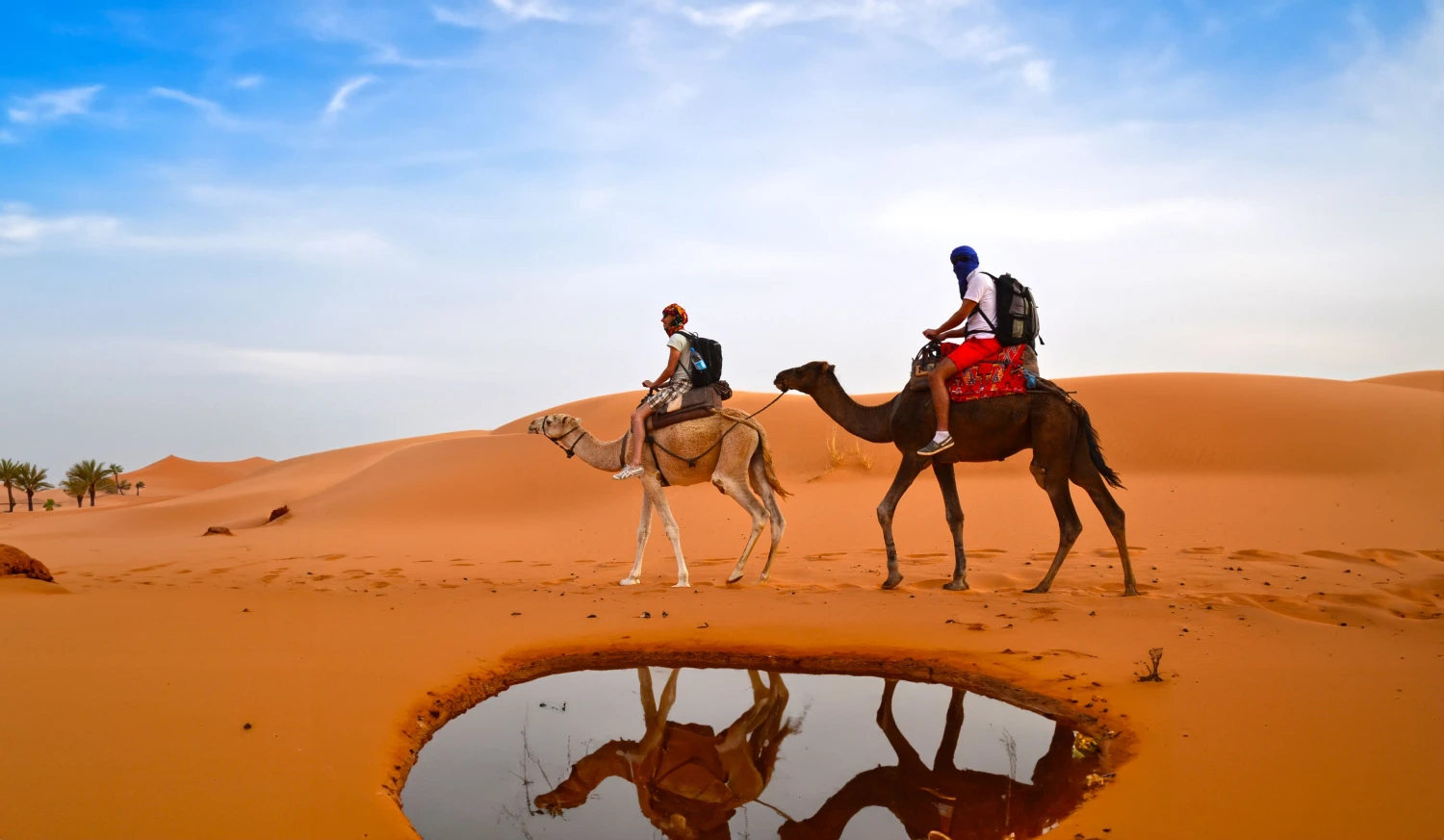 Desert Private Tour Travelers