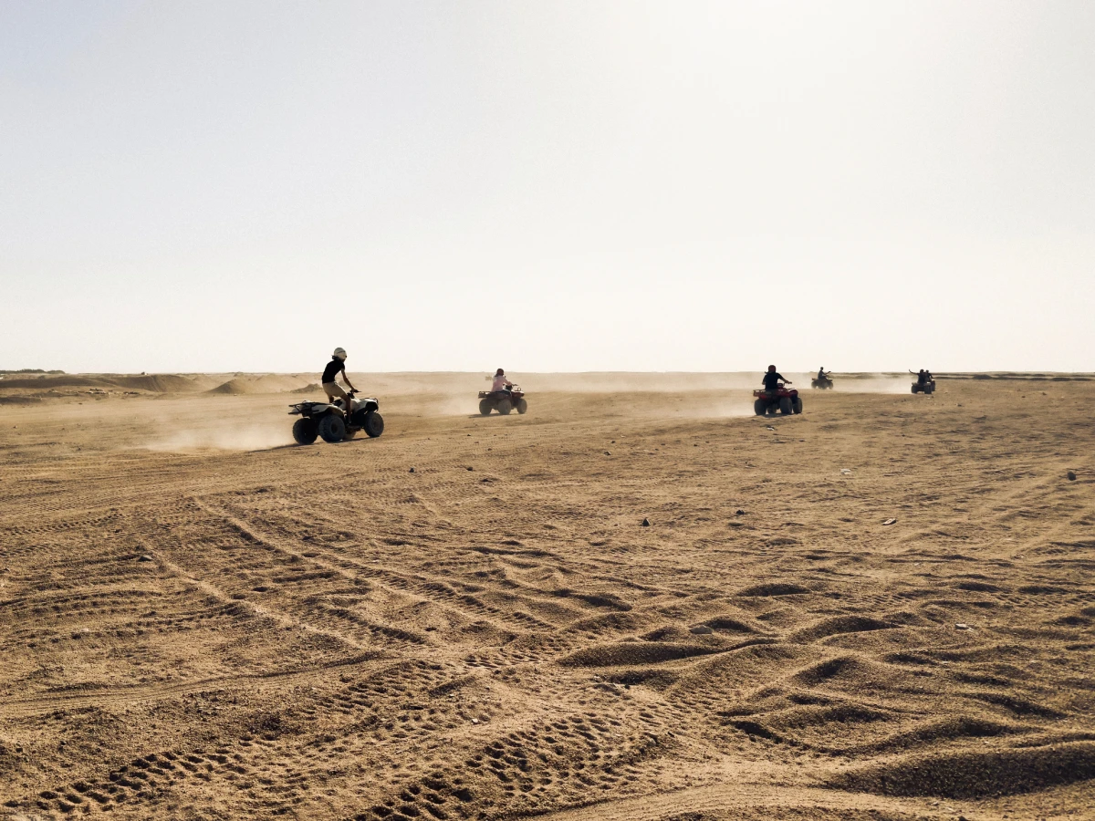 Quad Activity