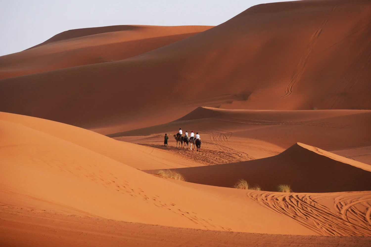Couple Travelers Trekke on the Camels Through the Merzouga Desert