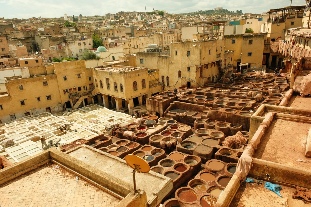 Fez El Bali Chouara Tannery