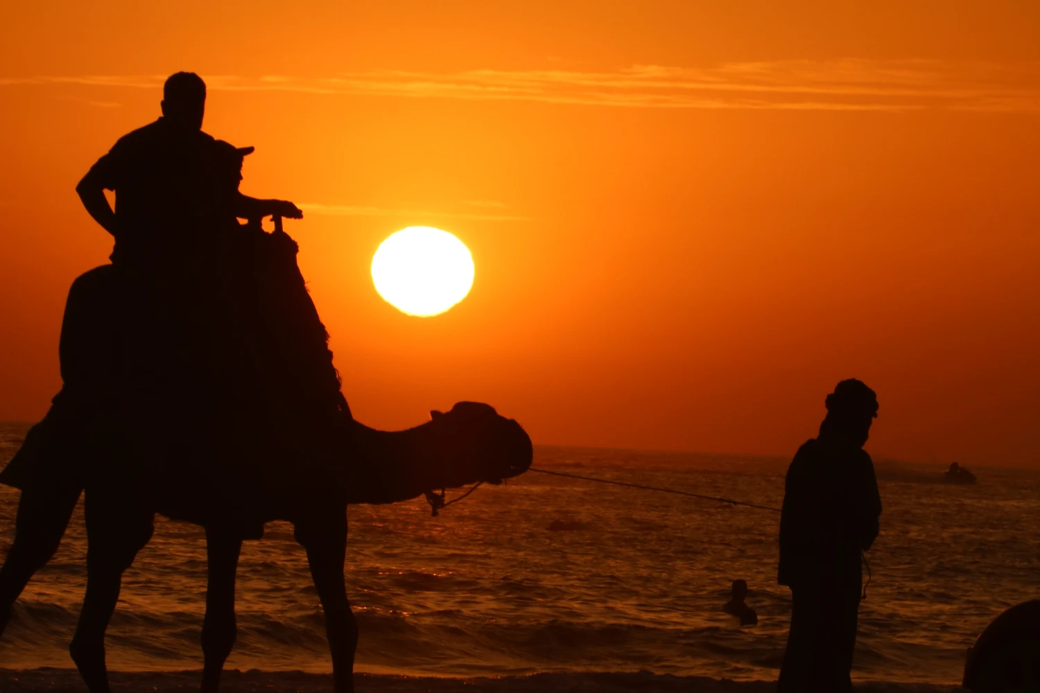 Traveler Enjoys Sunset on a Camel Back in Essaouira Beach