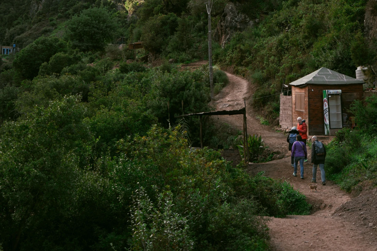 Travelers walk through Atlas Mountains Jungles